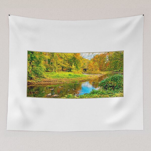Item preview, Stream in Fall, Pennypack Creek, Montgomery County, Pennsylvania, 2000 designed and sold by AMacGPhilly.