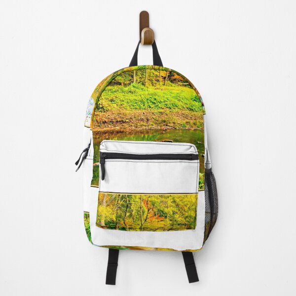 Item preview, Stream in Fall, Pennypack Creek, Montgomery County, Pennsylvania, 2000 designed and sold by AMacGPhilly.