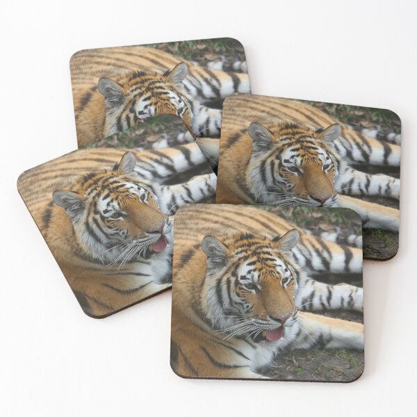 Item preview, Gaze of the Bengal designed and sold by WeatherShot.
