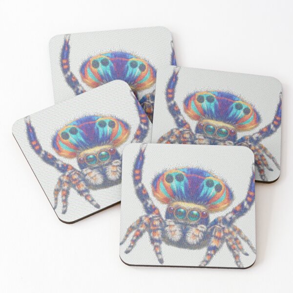 Item preview, Peacock Jumping Spider Lines designed and sold by florback.