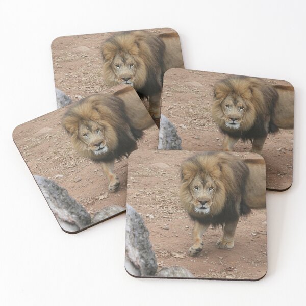 Item preview, King of the Zoo designed and sold by WeatherShot.