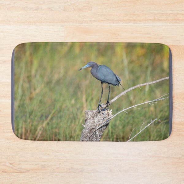 Item preview, Little Blue Heron Perched  designed and sold by Debra Martz.