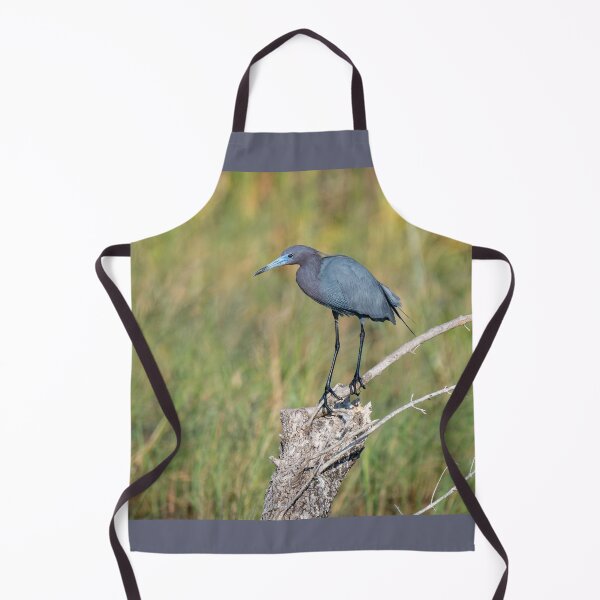 Item preview, Little Blue Heron Perched  designed and sold by Debra Martz.