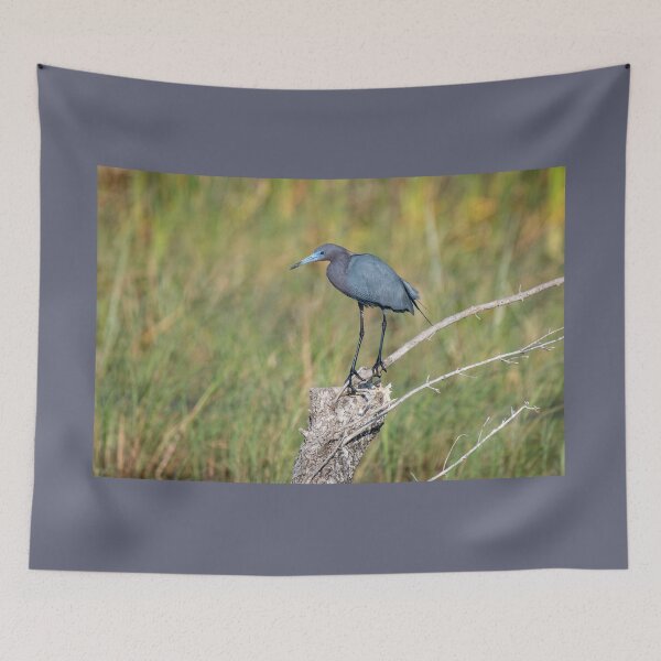 Item preview, Little Blue Heron Perched  designed and sold by Debra Martz.