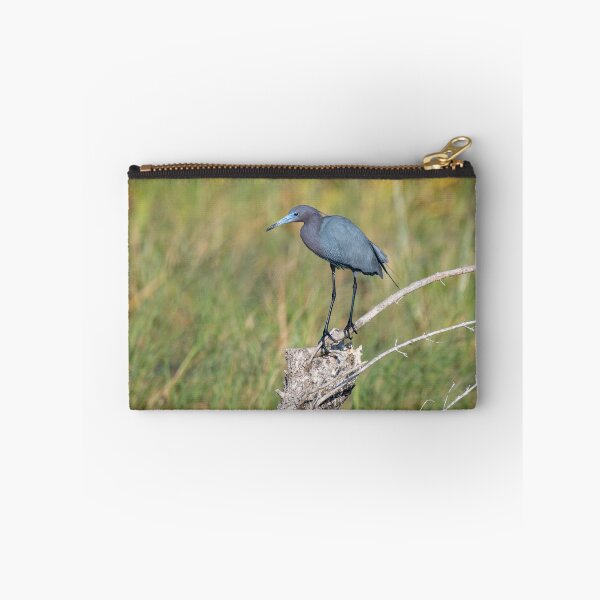 Item preview, Little Blue Heron Perched  designed and sold by Debra Martz.