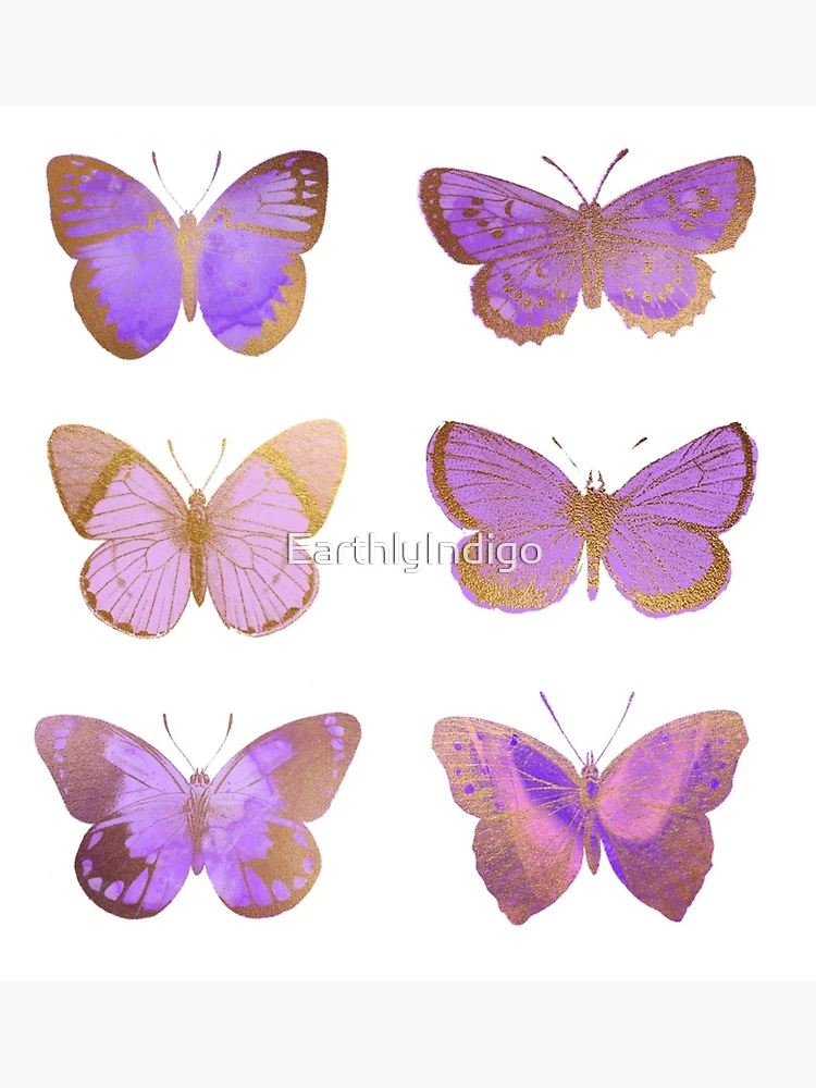 Bella Mariposa - Butterfly vine - Indigo - gold butterflies