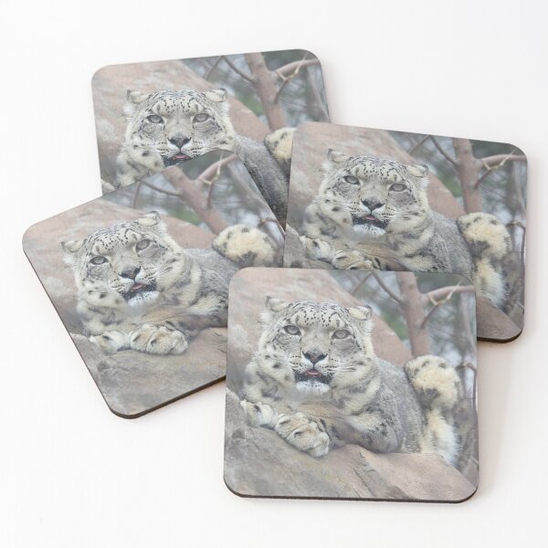Item preview, Stone Cold Gaze designed and sold by WeatherShot.