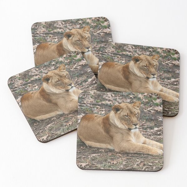 Item preview, Lioness designed and sold by WeatherShot.