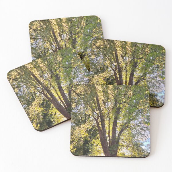 Item preview, Diffuse designed and sold by Shellie Bruner.
