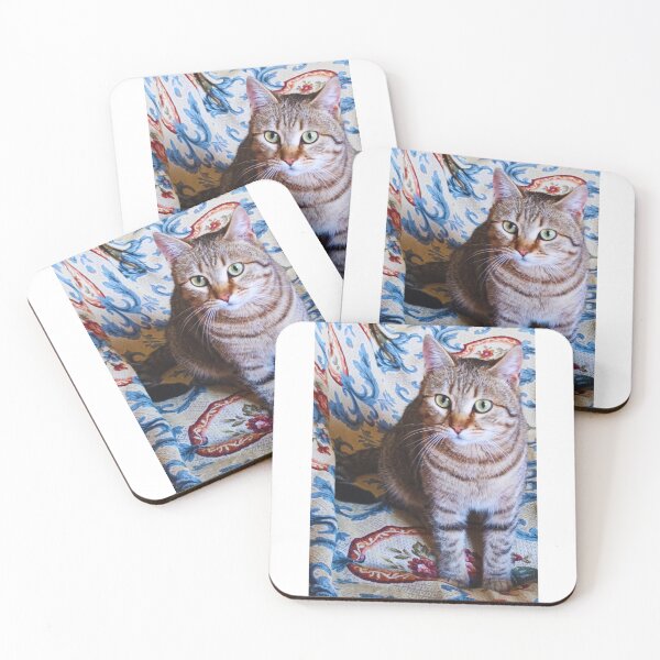 Item preview, Dario the cat. designed and sold by di-Vera-Rosati.