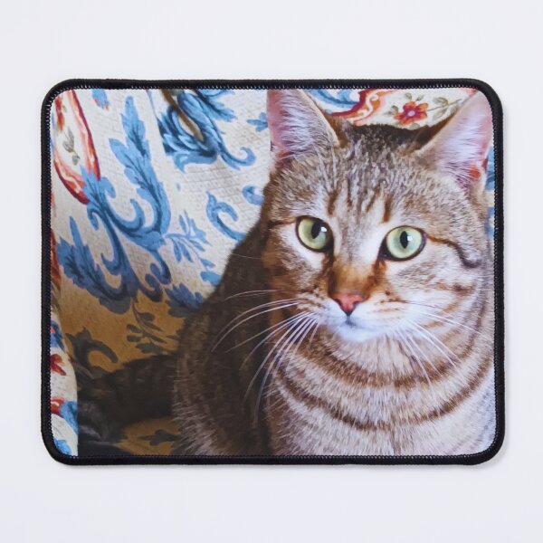 Item preview, Dario the cat. designed and sold by di-Vera-Rosati.