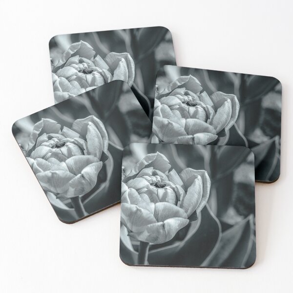 Item preview, Tulip – Black and White designed and sold by Rabee Khalil Photography.