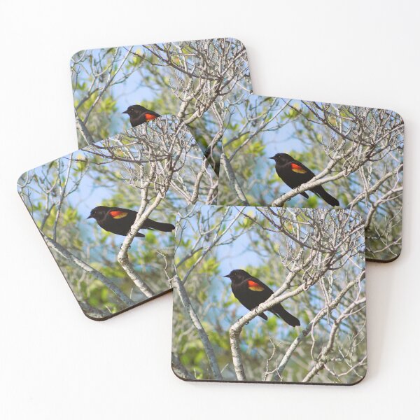 Item preview, Red-Winged Blackbird on Branch designed and sold by Cynthia48.