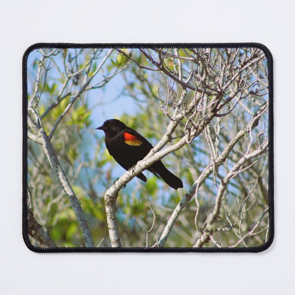 Item preview, Red-Winged Blackbird on Branch designed and sold by Cynthia48.