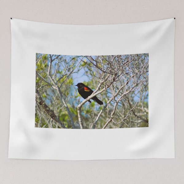 Item preview, Red-Winged Blackbird on Branch designed and sold by Cynthia48.