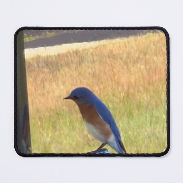 Item preview, Eastern Bluebird on a Rustic Perch. designed and sold by Pearls1.