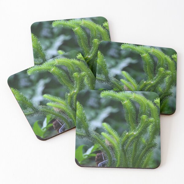 Item preview, Prickly Fern designed and sold by WeatherShot.