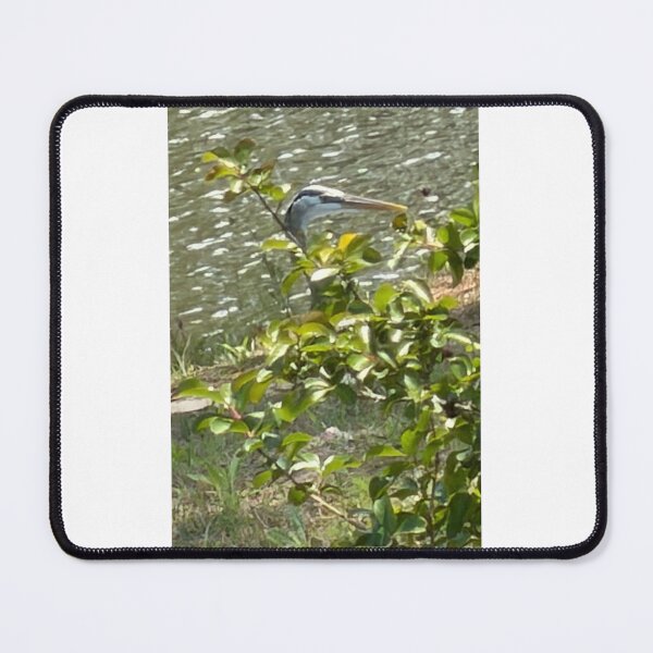 Item preview, Blue Heron hide and seek. designed and sold by Pearls1.
