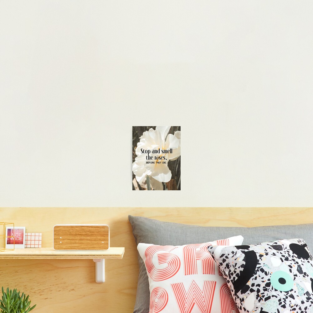 Item preview, Photographic Print designed and sold by GRsilver.