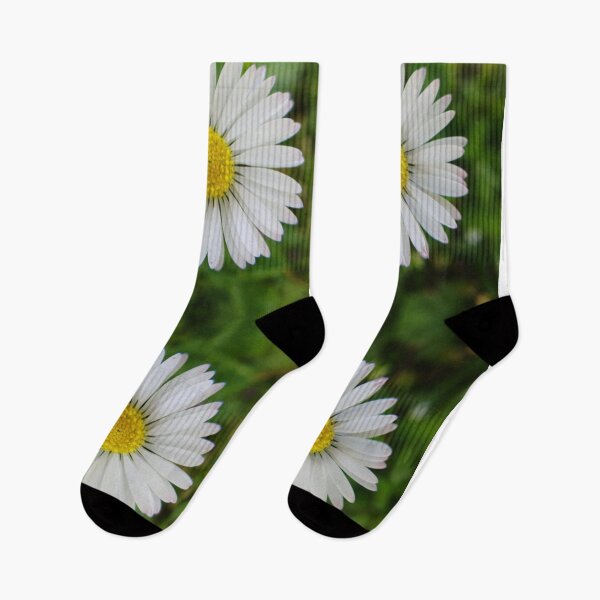 Item preview, Symmetrical Daisy Design – Floral Mirror Effect designed and sold by SilentBloomLab.