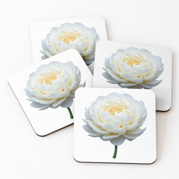 Item preview, White Bloom Delicate Petals Soft Botanical Beauty designed and sold by Fikuall.