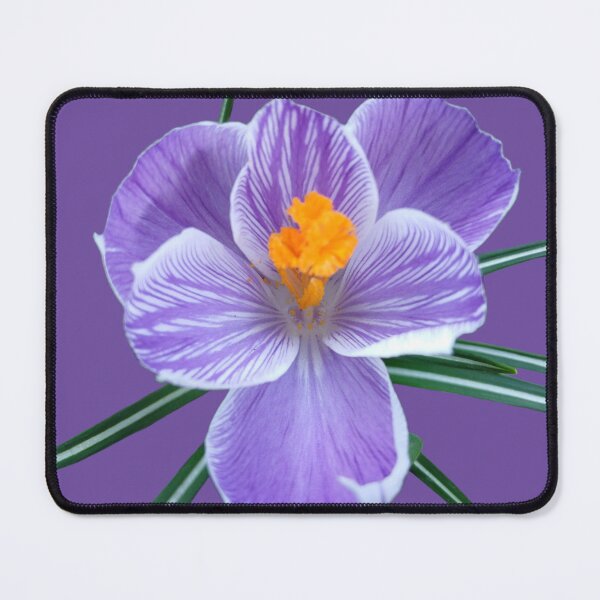 Item preview, Purple Crocus on Purple – Monochrome Floral Aesthetic designed and sold by SilentBloomLab.