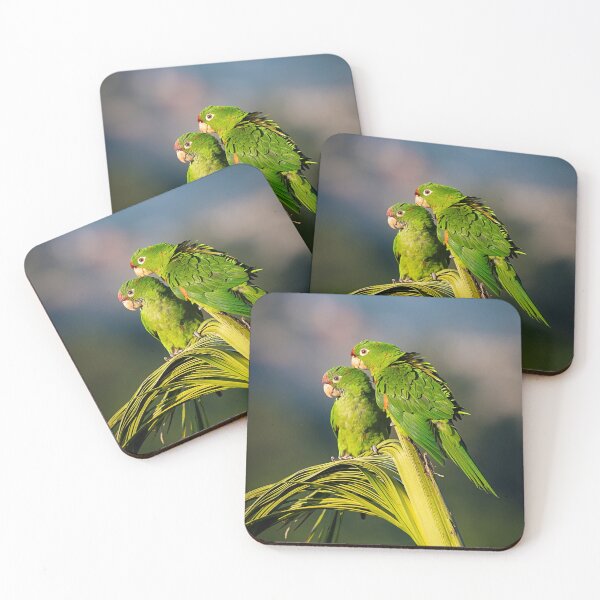 Item preview, Tropical Companions designed and sold by WrightDesignsUS.