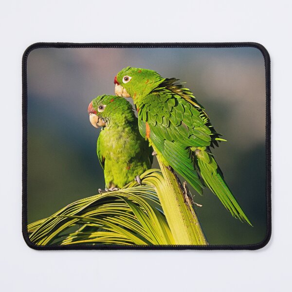 Item preview, Tropical Companions designed and sold by WrightDesignsUS.