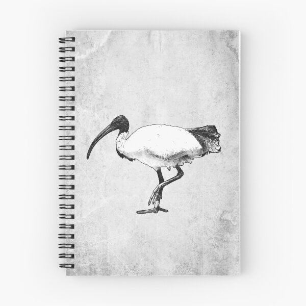 Item preview, Australian White Ibis Black & White Bin Chicken Art designed and sold by Ghoul Enterprises.