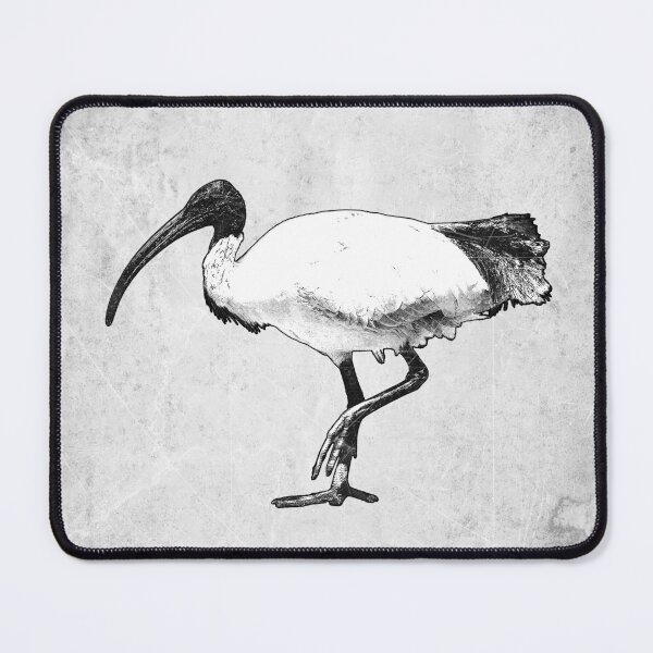 Item preview, Australian White Ibis Black & White Bin Chicken Art designed and sold by Ghoul Enterprises.