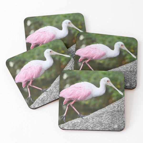 Item preview, Juvenile Roseate Spoonbill designed and sold by richardbryce.