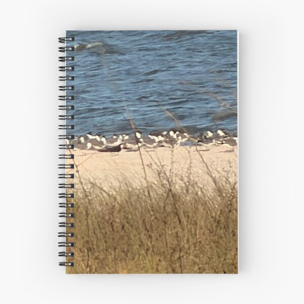 Item preview, 	Ocean Breeze and Seagulls. designed and sold by Pearls1.