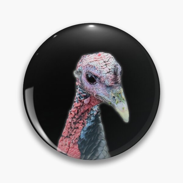 Item preview, Curious Turkey Portrait – Farm Bird Close-Up Photography designed and sold by aadventures.