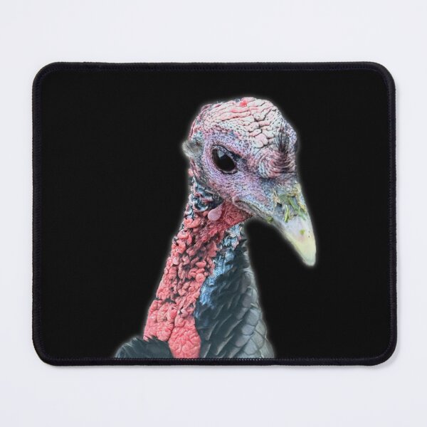 Item preview, Curious Turkey Portrait – Farm Bird Close-Up Photography designed and sold by aadventures.