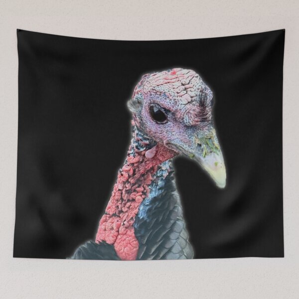 Item preview, Curious Turkey Portrait – Farm Bird Close-Up Photography designed and sold by aadventures.