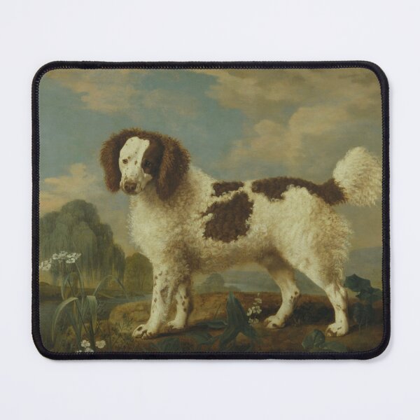 Item preview, Brown and White Norfolk or Water Spaniel by George Stubbs (digitally enhanced) designed and sold by Amanda1775.