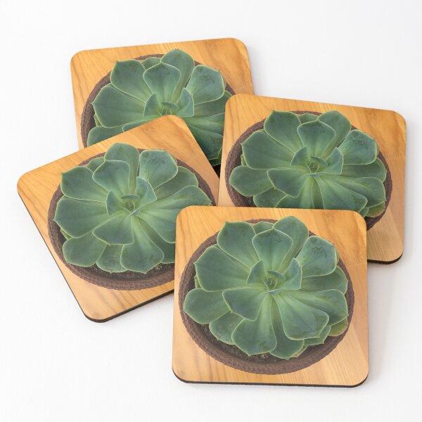 Item preview, Echeveria rosette designed and sold by RDLT.
