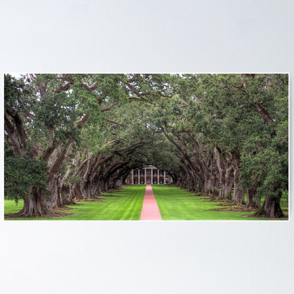 Item preview, Oak Alley Plantation designed and sold by steini.
