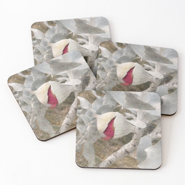 Item preview, Red Eucalyptus Bud Australian Botanical Art designed and sold by NJEditions.