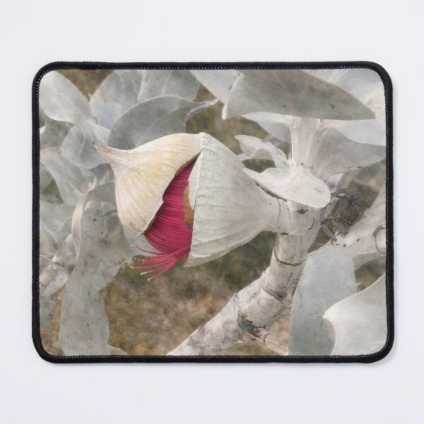 Item preview, Red Eucalyptus Bud Australian Botanical Art designed and sold by NJEditions.