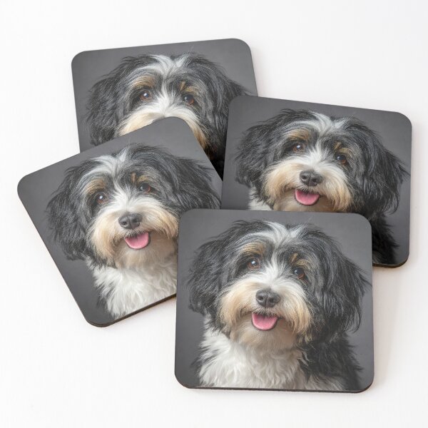 Item preview, Cute Toy Havanese designed and sold by Elisabeth Lucas.