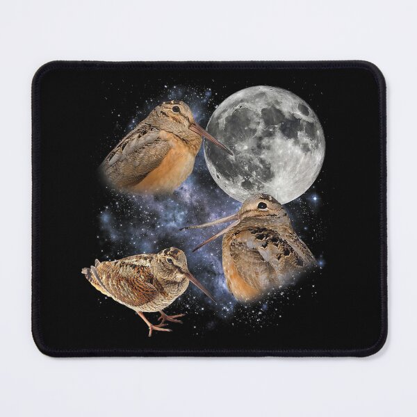 Artikelvorschau, Drei-Meep-Vogel Amerikanische Waldschnepfe Mond entworfen und verkauft von ZalcArtStore.