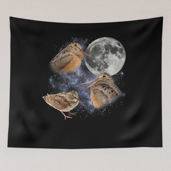 Item preview, Three Meep Bird American Woodcock Moon designed and sold by ZalcArtStore.