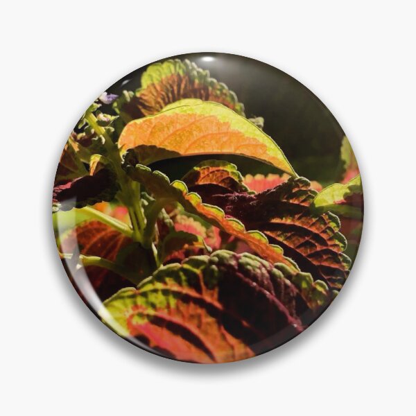 Item preview, House plant designed and sold by Courtney Croxall.