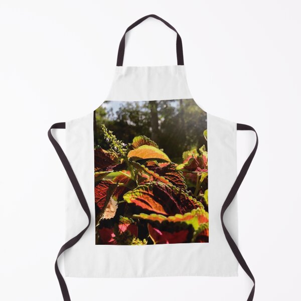 Item preview, House plant designed and sold by Courtney Croxall.