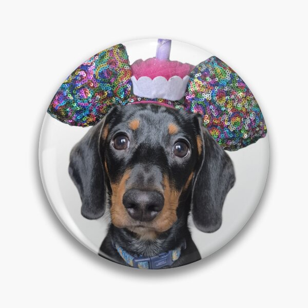 Item preview, Birthday Wiener designed and sold by Delallydoodles.