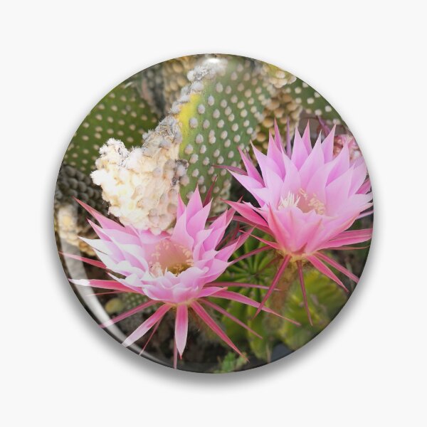 Item preview, Ephemeral Midnight Bloom - Pink Echinopsis Cactus Flower designed and sold by Kainicram.