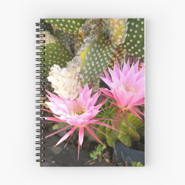 Item preview, Ephemeral Midnight Bloom - Pink Echinopsis Cactus Flower designed and sold by Kainicram.