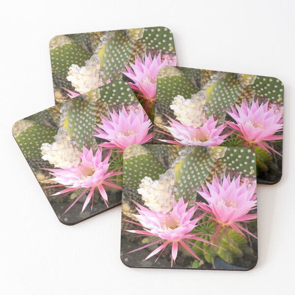 Item preview, Ephemeral Midnight Bloom - Pink Echinopsis Cactus Flower designed and sold by Kainicram.