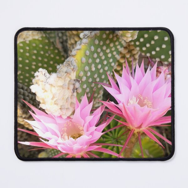 Item preview, Ephemeral Midnight Bloom - Pink Echinopsis Cactus Flower designed and sold by Kainicram.